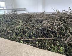 VO_C7L~SJL$2_KZF_5}1FNH