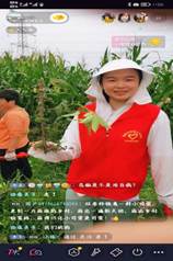 2CE1A5A9BF48934A016D98082BBDCFFF