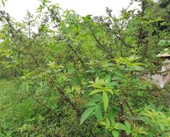 QQ图片20220628173254