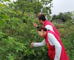 4F6812EFB78B16CDF15AA3FAE9A821E6